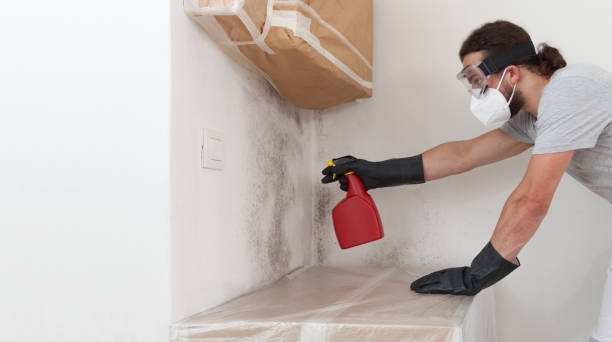 Professional Basement Mold Remediation technician working in Old Hickory, TN